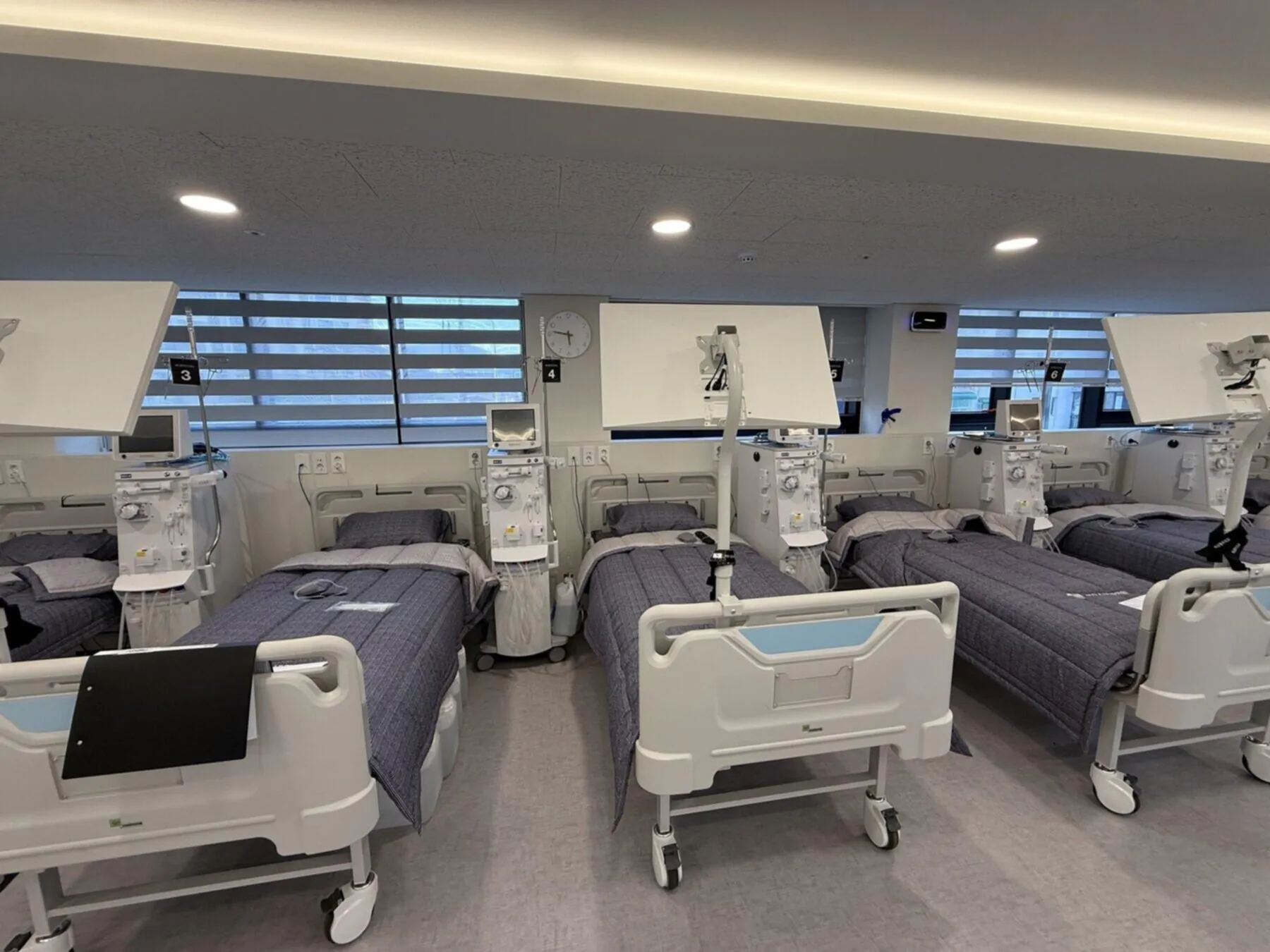 혈액투석 완전 가이드 2025 - 최신 치료법부터 생활 관리까지 전문의가 알려드리는 모든 것